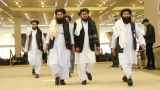 Россия отчиталась о росте торговли с талибами на 500%